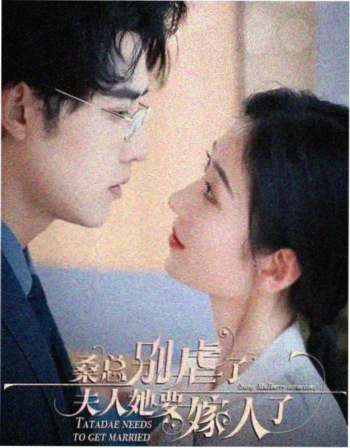 沉默的真相 努努影院观看免费高清电视剧